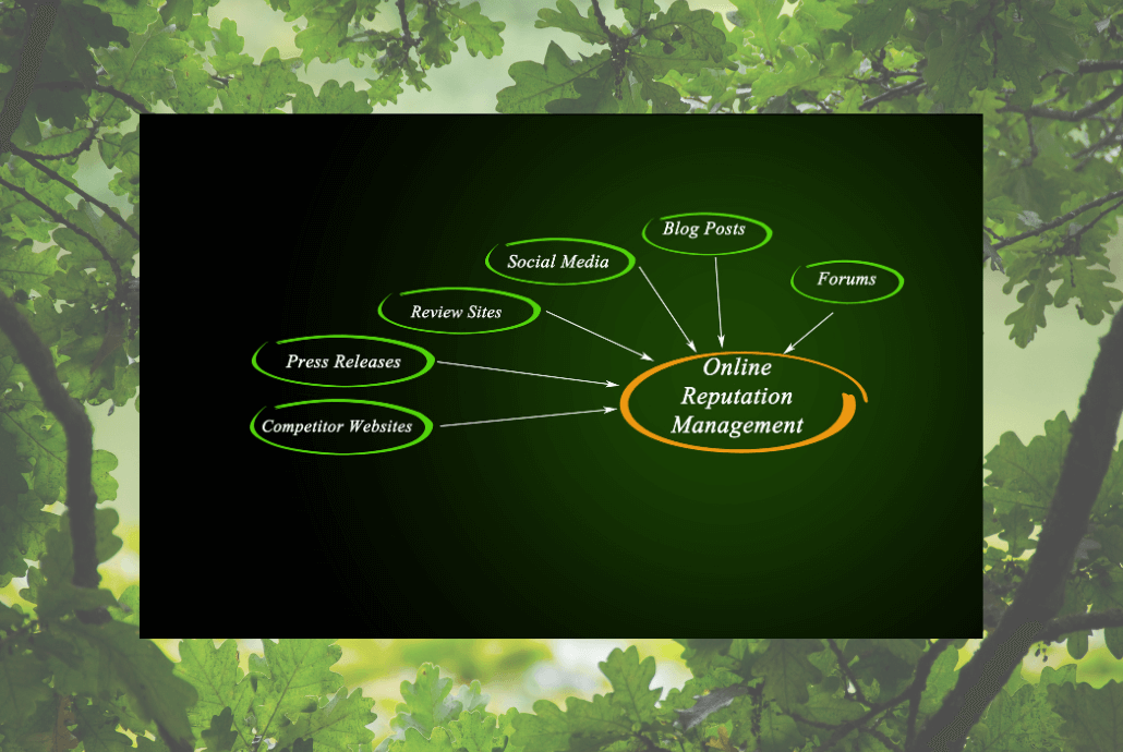 Online Reputation Of Wellness Resort